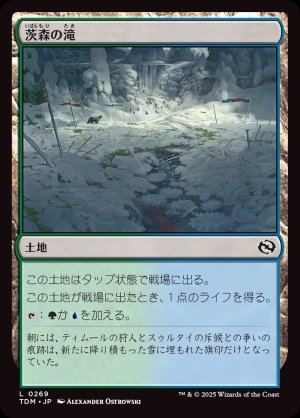 画像1: 茨森の滝/Thornwood Falls