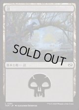 沼/Swamp