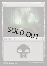 沼/Swamp