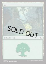 森/Forest
