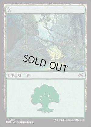 画像1: 森/Forest
