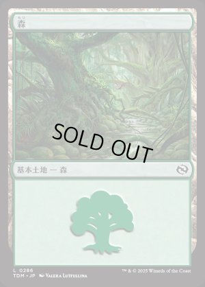 画像1: 森/Forest