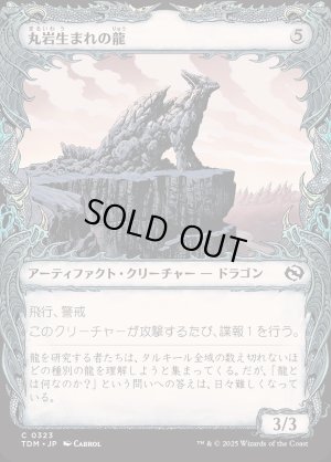 画像1: 丸岩生まれの龍/Boulderborn Dragon