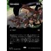 画像1: 団結の最前線/United Battlefront (1)