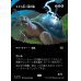 画像1: そぞろ歩く嵐甲羅/Ambling Stormshell (1)