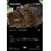 画像1: 陥没孔の偵察員/Sinkhole Surveyor (1)