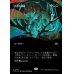 画像1: 自然の律動/Nature's Rhythm (1)
