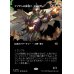 画像1: アブザンの夜明け、フェロザー/Felothar, Dawn of the Abzan (1)