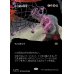 画像1: 不可避の敗北/Inevitable Defeat (1)