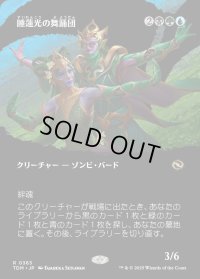 睡蓮光の舞踊団/Lotuslight Dancers