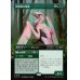 画像1: 咲蔦森の執政/Bloomvine Regent (1)