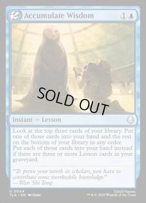 画像2: 積み重ねられた叡智/Accumulate Wisdom