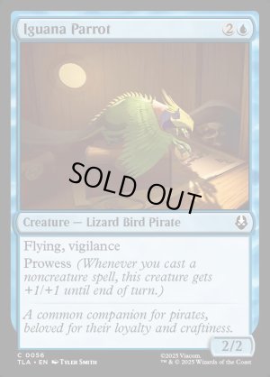 画像2: イグアナオウム/Iguana Parrot