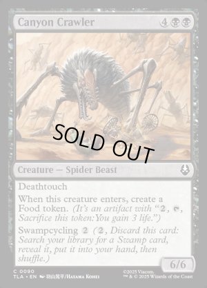 画像2: ケイコクオオグモ/Canyon Crawler