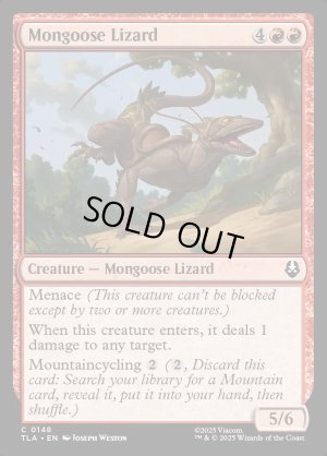 画像2: マングーストカゲ/Mongoose Lizard