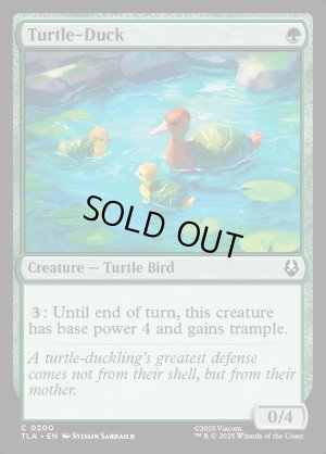 画像2: カメアヒル/Turtle-Duck