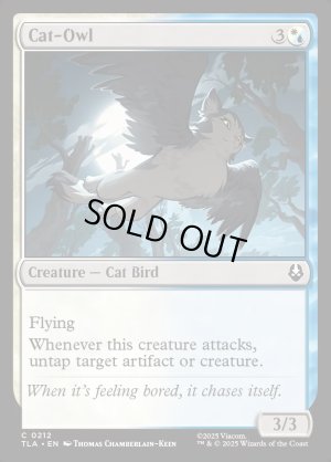 画像2: ネコフクロウ/Cat-Owl