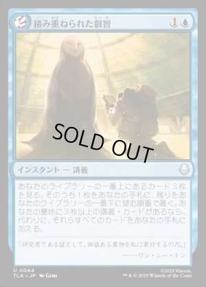 画像1: 積み重ねられた叡智/Accumulate Wisdom