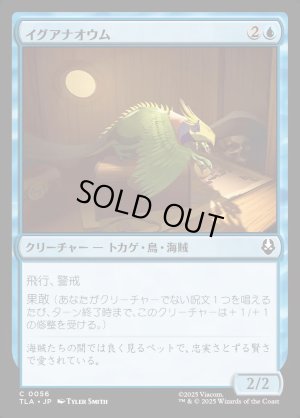 画像1: イグアナオウム/Iguana Parrot