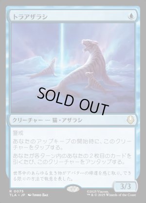 画像1: トラアザラシ/Tiger-Seal