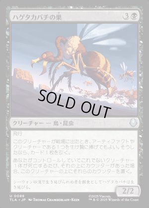 画像1: ハゲタカバチの巣/Buzzard-Wasp Colony