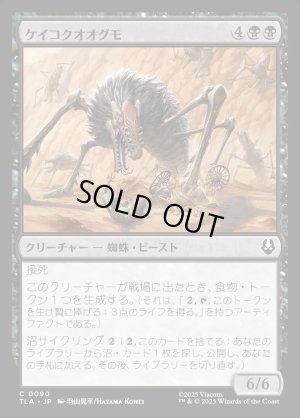 画像1: ケイコクオオグモ/Canyon Crawler