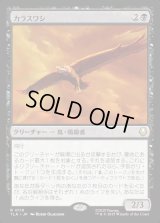 カラスワシ/Raven Eagle