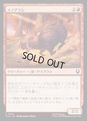 画像1: イノアラシ/Boar-q-pine