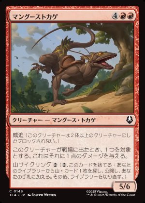 画像1: マングーストカゲ/Mongoose Lizard