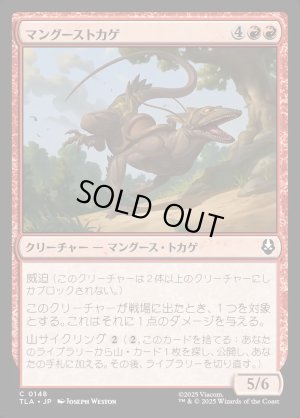 画像1: マングーストカゲ/Mongoose Lizard