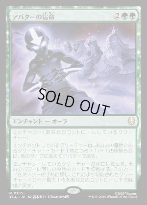 画像1: アバターの宿命/Avatar Destiny