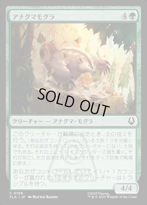 画像1: アナグマモグラ/Badgermole