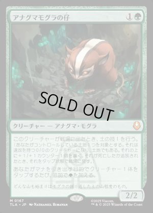 画像1: アナグマモグラの仔/Badgermole Cub