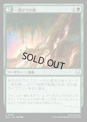 画像1: 一繋がりの根/Shared Roots