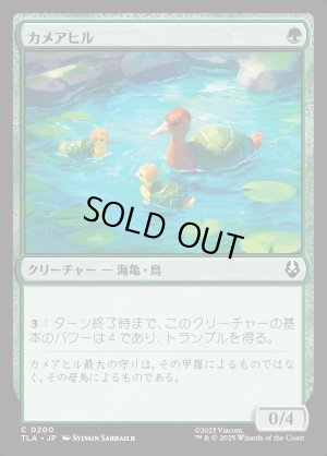 画像1: カメアヒル/Turtle-Duck