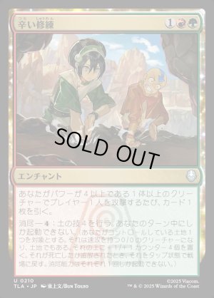 画像1: 辛い修練/Bitter Work