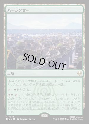 画像1: バーシンセー/Ba Sing Se