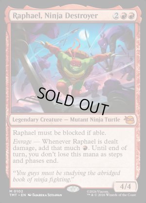 画像2: 破壊のニンジャ、ラファエロ/Raphael, Ninja Destroyer
