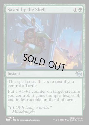 画像2: 甲羅で命拾い/Saved by the Shell