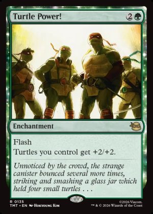 画像2: タートル・パワー！/Turtle Power!