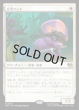 古代ペット/Prehistoric Pet