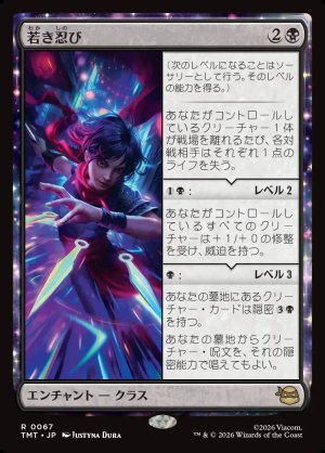 画像1: 若き忍び/Ninja Teen