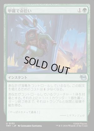 画像1: 甲羅で命拾い/Saved by the Shell