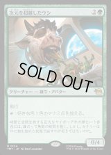 次元を超越したウシ/Transdimensional Bovine