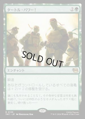 画像1: タートル・パワー！/Turtle Power!