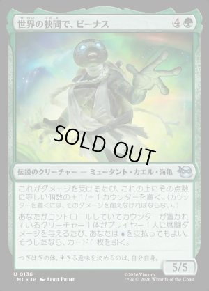 画像1: 世界の狭間で、ビーナス/Venus, Torn Between Worlds