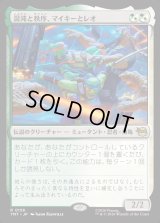 混沌と秩序、マイキーとレオ/Mikey & Leo, Chaos & Order