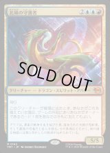 北風の守護者/North Wind Avatar