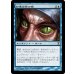 画像1: 知恵の蛇の眼/Ophidian Eye (1)