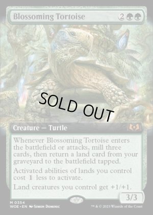 画像2: 開花の亀/Blossoming Tortoise